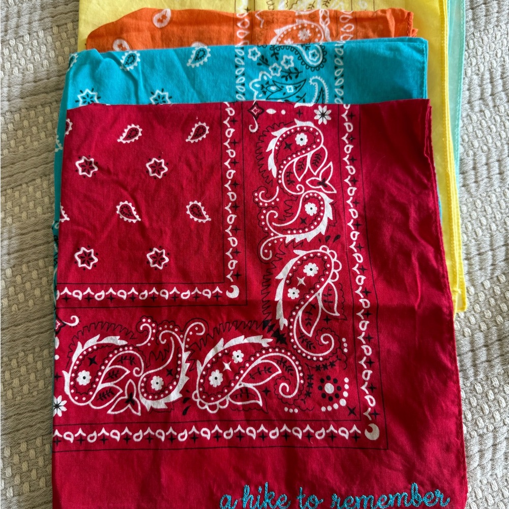 Colorful Paisley Bandana Set